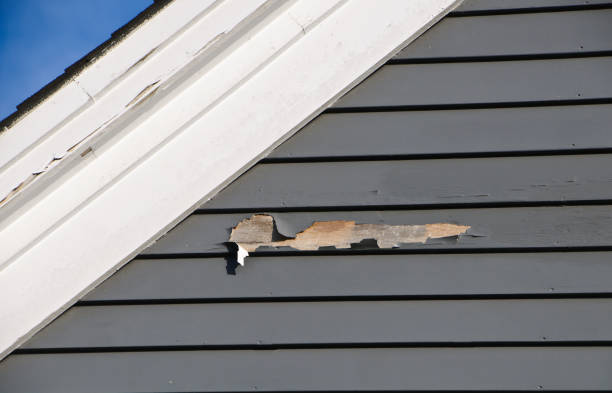 Reliable Hempstead, TX Siding Installation & Repair Solutions